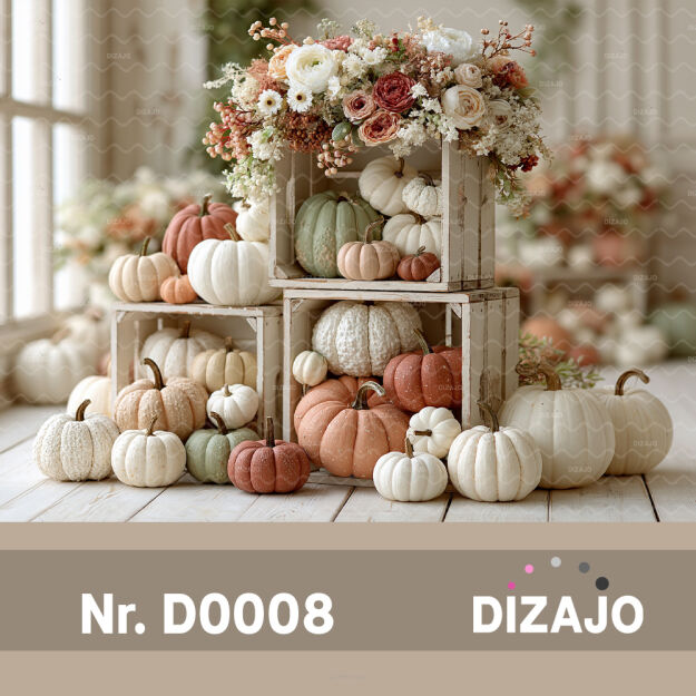 Tło fotograficzne jesienne dynie D0008