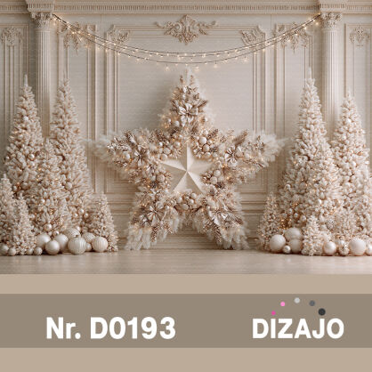 Tło fotograficzne Boże Narodzenie gwiazda D0193
